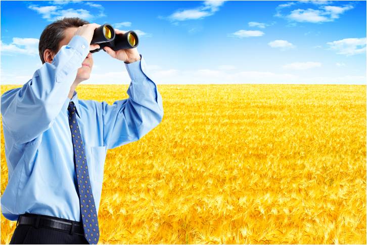 ¿Qué es la innovación? #VIDEO